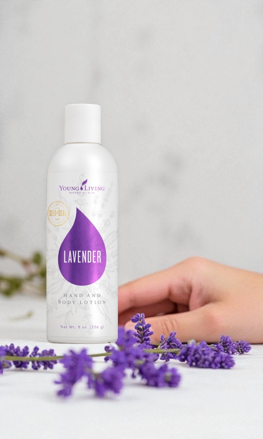 Lavender - Hand and Body Lotion