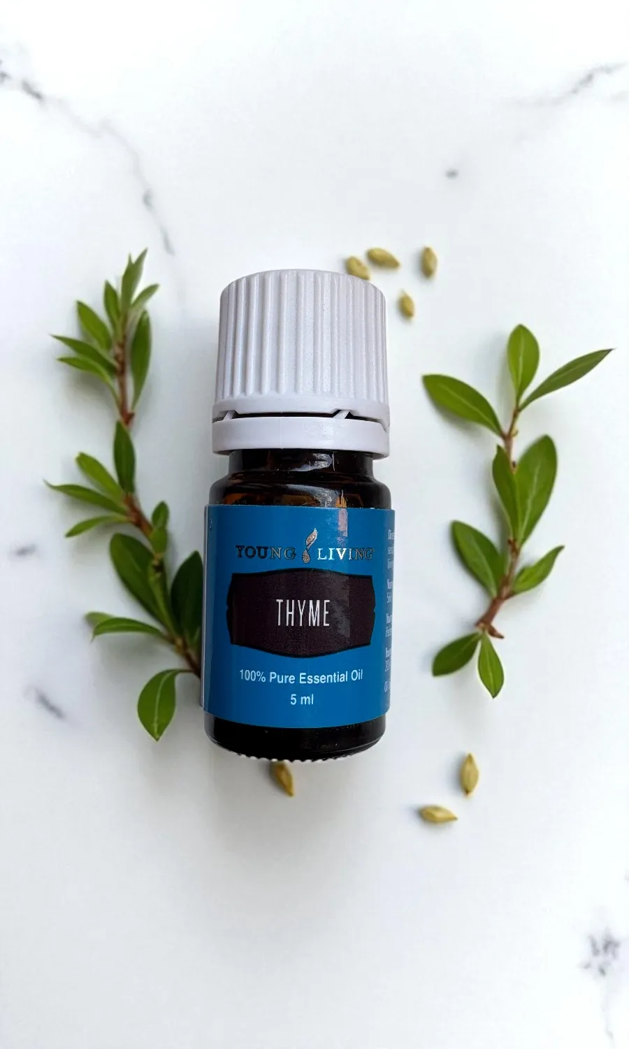 Thyme - Ätherisches Öl  5ml