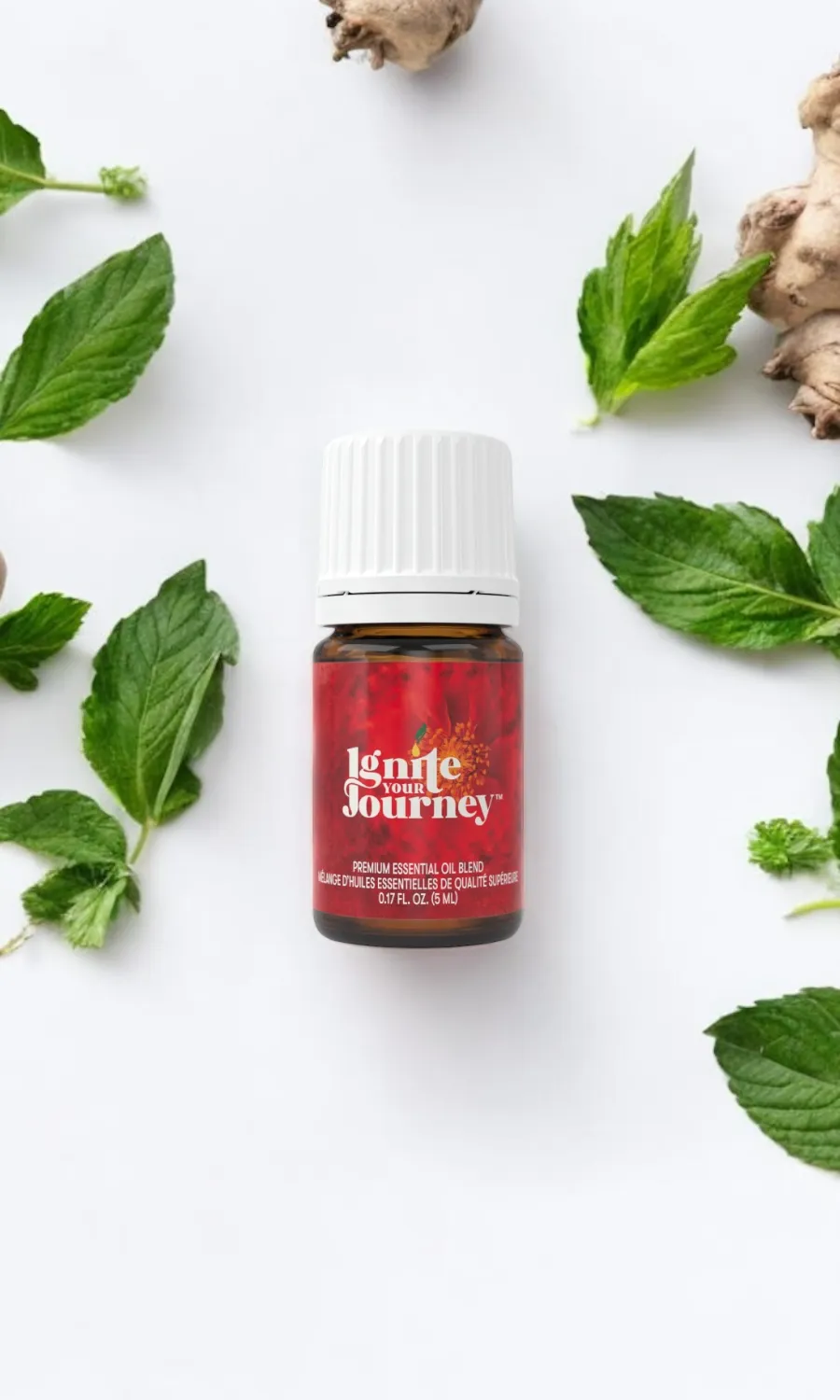 Ignite Your Journey™ - Ätherisches Öl  5ml  